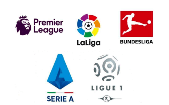 的指导下 的指导下